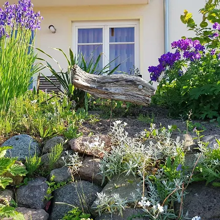 Über dem Meer Lohme Exterior foto